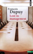 Lost in Management. La Vie Quotidienne Des Entreprises Au Xxie Si'cle
