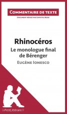 Rhinocéros de Ionesco - Le monologue final de Bérenger