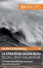La strategie Ocean bleu selon C. Kim et Mauborgne