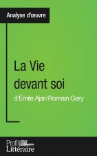 Vie devant soi de Romain Gary (Analyse approfondie)