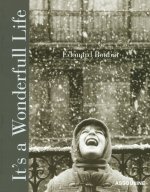 It's a Wonderful Life