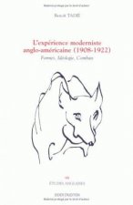L'Experience Moderniste Anglo-Americaine (1908-1922): Formes, Ideologie, Combats