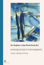 Entre Belgitude Et Postmodernitae