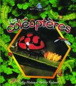 Les Coleopteres