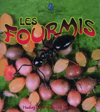 Les Fourmis