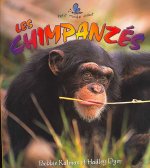 Les Chimpanzes