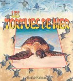 Les Tortues de Mer = The Life Cycle of a Sea Turtle