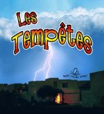 Les Temptes = Changing Weather: Storms