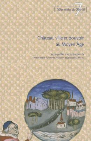 Chateau, Ville Et Pouvoir Au Moyen Age
