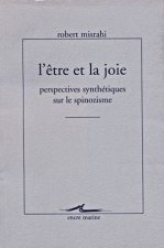L'Etre Et La Joie: Perspectives Synthetiques Sur Le Spinozisme