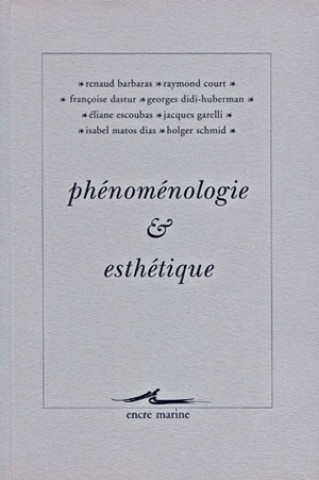 Phenomenologie Et Esthetique