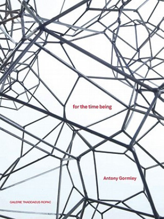 Antony Gormley: For the Time Being