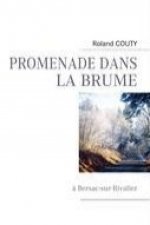 PROMENADE DANS LA BRUME