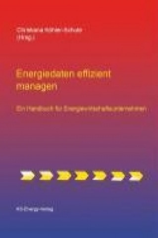 Energiedaten effizient managen