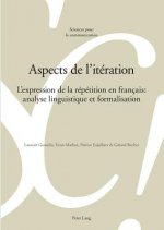 Aspects de l'Iteration