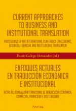 Current Approaches to Business and Institutional Translation - Enfoques actuales en traduccion economica e institucional