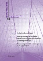 Pratiques et representations sociales des langues en contexte scolaire plurilingue; Etude comparee de la Dominique et de Sainte-Lucie