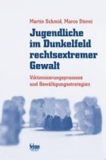 Jugendliche im Dunkelfeld rechtsextremer Gewalt