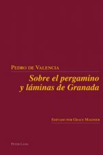 Sobre el pergamino y laminas de Granada