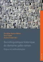 Sociolinguistique Historique Du Domaine Gallo-Roman