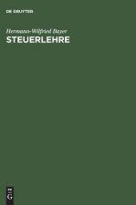 Steuerlehre