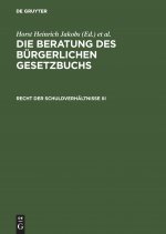 Beratung des Burgerlichen Gesetzbuchs, Recht der Schuldverhaltnisse III