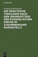 praktische Theologie nach den Grundsatzen der evangelischen Kirche im Zusammenhang dargestellt