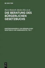 Beratung des Burgerlichen Gesetzbuchs, Einfuhrungsgesetz zum Burgerlichen Gesetzbuch und Nebengesetze