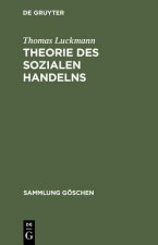 Theorie Des Sozialen Handelns