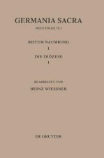 Bistumer Der Kirchenprovinz Magdeburg: Das Bistum Naumburg 1,1: Die Dioezese