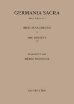 Bistumer Der Kirchenprovinz Magdeburg: Das Bistum Naumburg 1,2: Die Dioezese