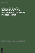 Identification Problems of Wave Phenomena