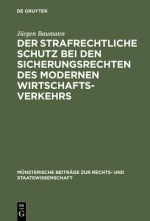 strafrechtliche Schutz bei den Sicherungsrechten des modernen Wirtschaftsverkehrs
