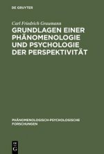 Grundlagen einer Phanomenologie und Psychologie der Perspektivitat