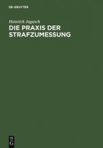 Praxis der Strafzumessung
