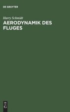 Aerodynamik des Fluges