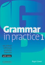 Grammar in Practice 1