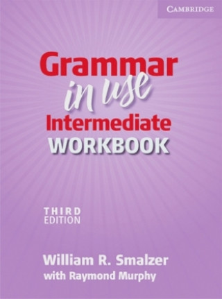 Grammar in Use - Third Edition. Intermediate Workbook