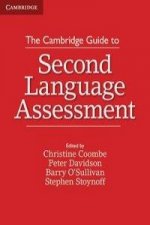 Cambridge Guide to Second Language Assessment