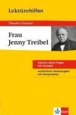 Klett Lektürehilfen Theodor Fontane, Frau Jenny Treibel