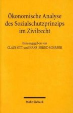 OEkonomische Analyse des Sozialschutzprinzips im Zivilrecht