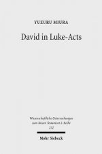 David in Luke-Acts