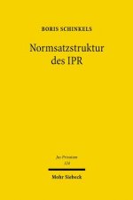 Normsatzstruktur des IPR