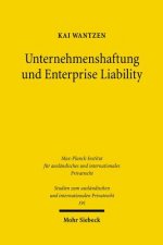Unternehmenshaftung und Enterprise Liability