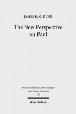 New Perspective on Paul