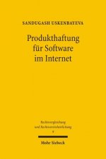 Produkthaftung fur Software im Internet