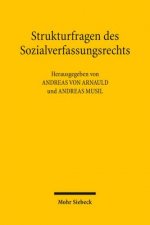 Strukturfragen des Sozialverfassungsrechts