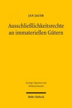 Ausschliesslichkeitsrechte an immateriellen Gutern