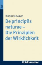 De principiis naturae - Die Prinzipien der Wirklichkeit