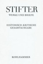 Werke und Briefe 3/2: Erzählungen 2